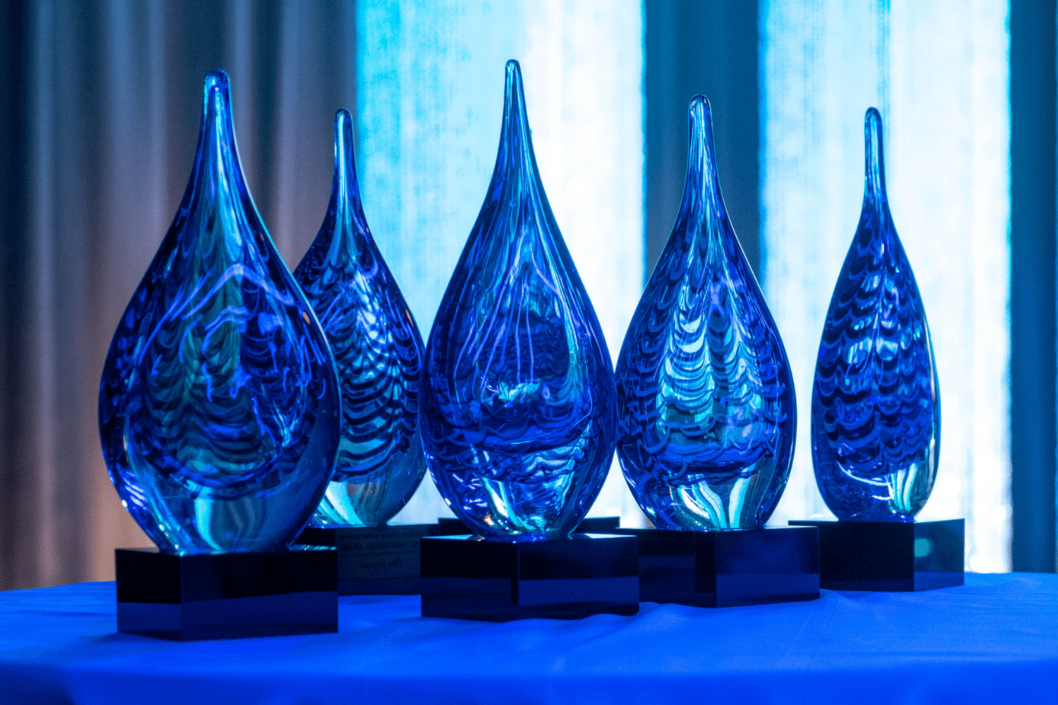 glass awards on a table